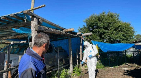 Artvin'de şap hastalığı nedeniyle 4 ilçede canlı hayvan ticaretine kısıtlama