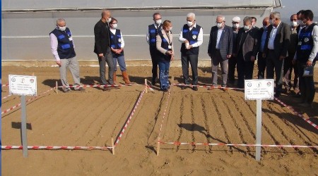 Ata tohumu 'Karakılçık' buğdayı toprakla buluştu