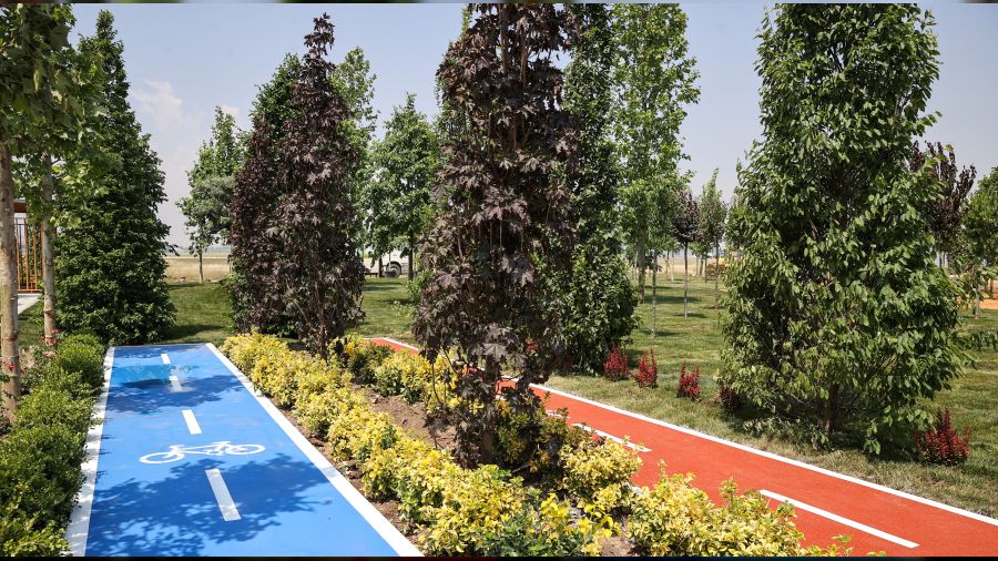 Atat�rk Havaliman�'na 145 bin 300 a�a� dikilecek