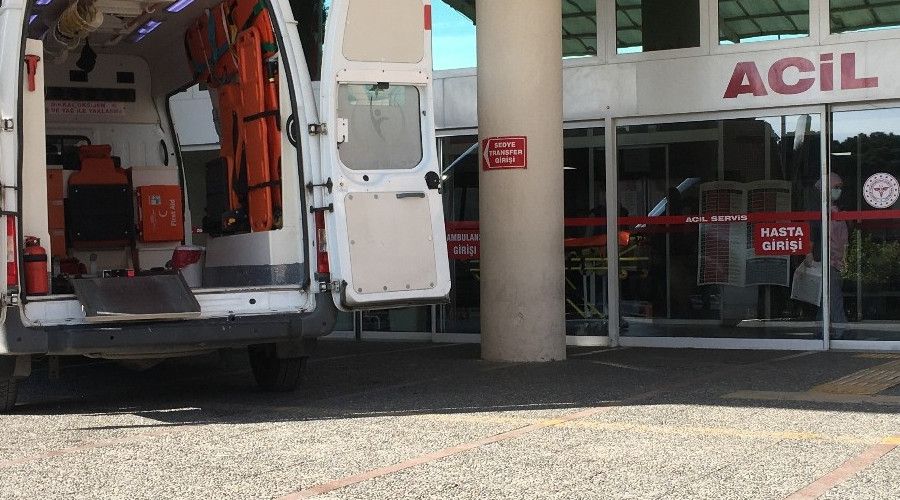 Aydın'da kardeş kavgası kanlı bitti