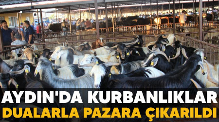 Aydın'da kurbanlıklar dualarla pazara çıkarıldı