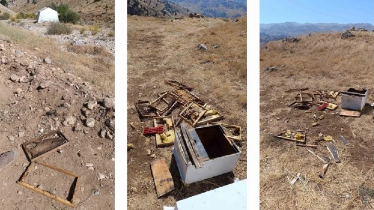 Ay�lar 100 bin liral�k zarara u�ratt�