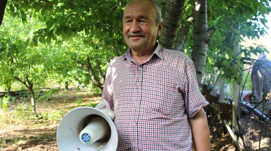 Bahçesine domuz dadanan çiftçi çareyi oyun havalarında buldu