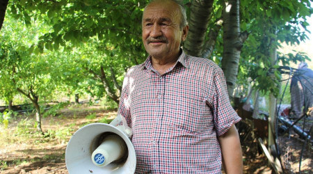 Bahçesine domuz dadanan çiftçi çareyi oyun havalarında buldu