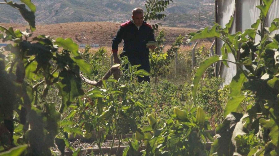 'Bakarsan bağ olur' sözüne bir örnek daha