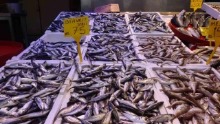 Balık av sezonu ne zaman sona erecek?