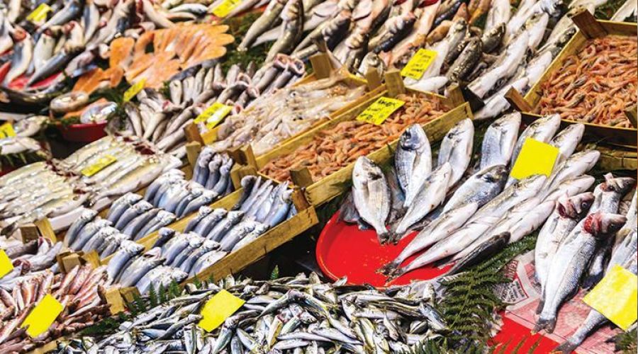 Bal�k��lar av sezonundan umutlu