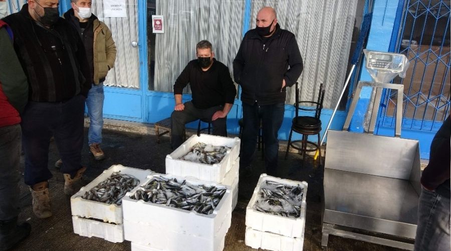Balıkçılar gelecek yıl hamsi bolluğu bekliyor