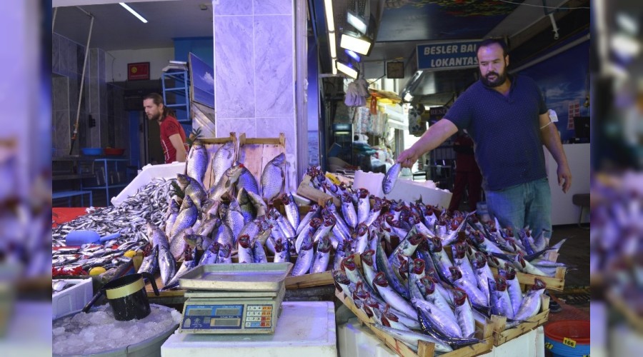 Balıklar bollaşıyor, fiyatlar düşüyor