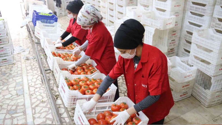 Bat� Akdeniz'den 2.2 milyar dolarl�k ihracat