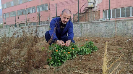 Bazı bitki ve hayvan türleri yok olma tehlikesinde