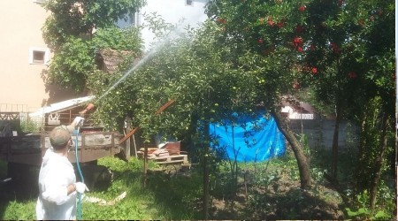 Belediye ilaçlama desteği verecek