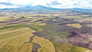 Bergama'da tarm, yetien rnler ve iftilerin sorunlar