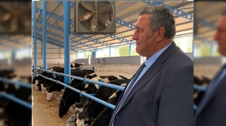 Besici kazanamıyor hayvancılık zorda