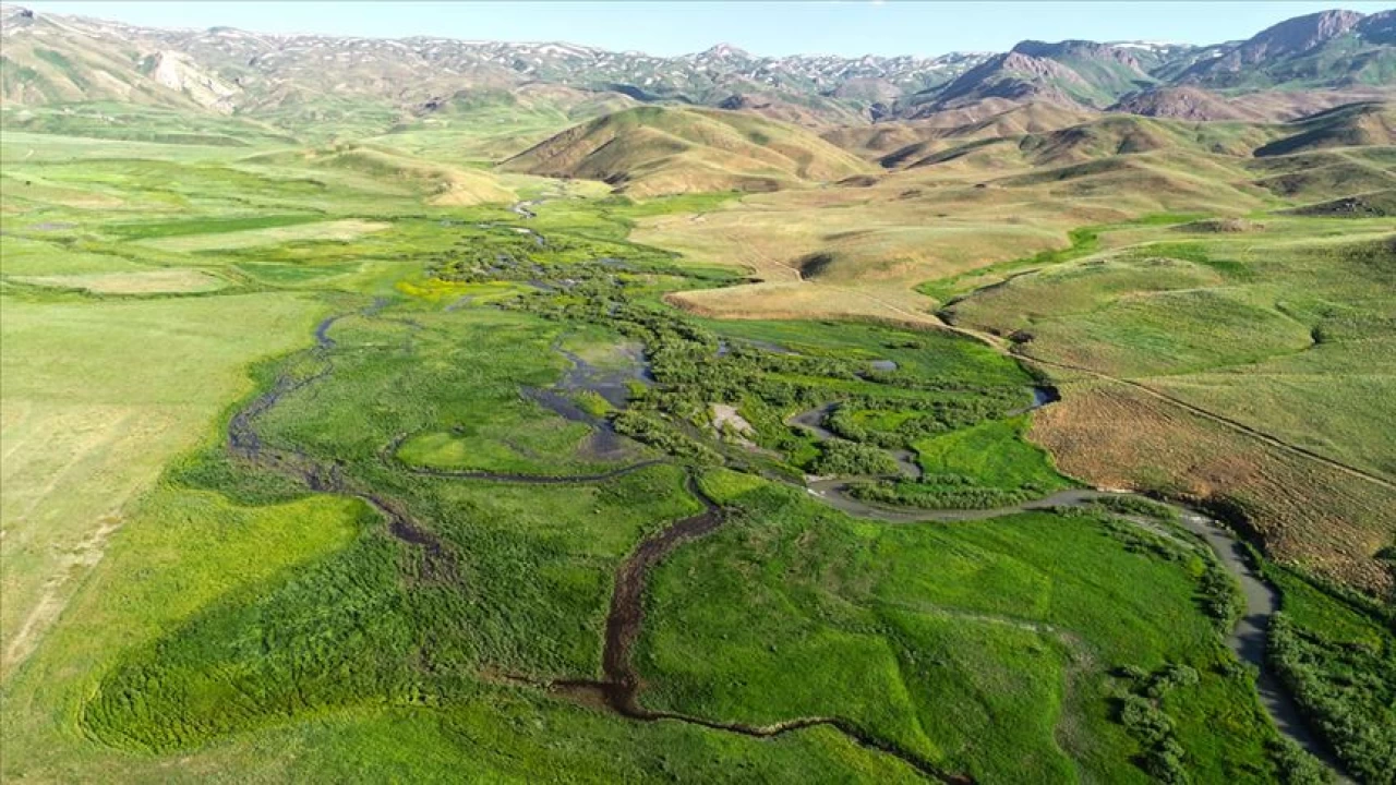 Beytebap Yaylalar: Dalarn kalbinde bir doa miras