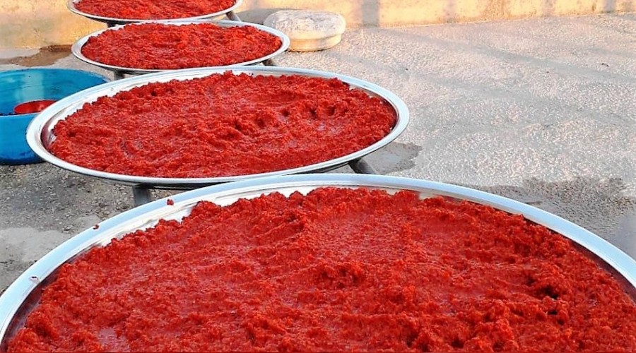 Biber kentinde salça telaşı