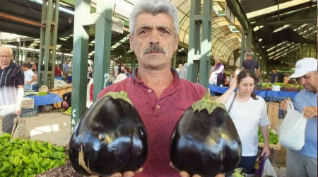 Bir kiloluk patlıcanları gören şaşırıyor