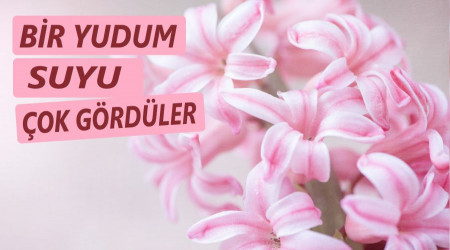 Bir yudum suyu çok gördüler