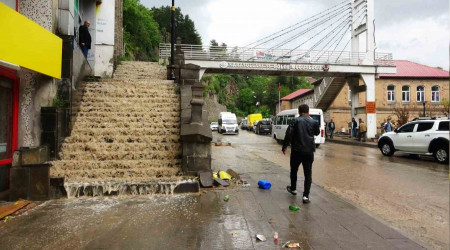 Bitlis'te sağanak sele neden oldu