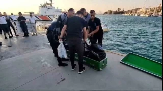 Boynuna ta balayp kendini denize att