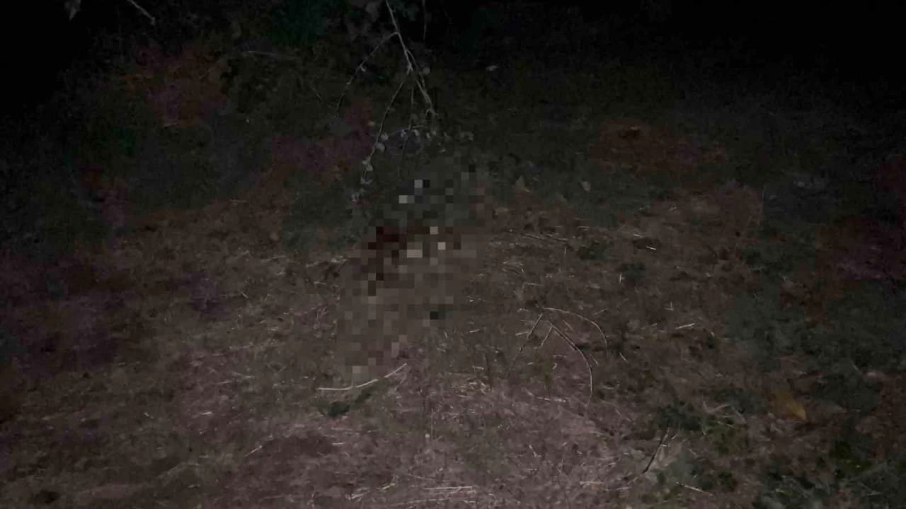 Bursa'da kan donduran olay: �len 16 �ld�ren 15 ya��nda