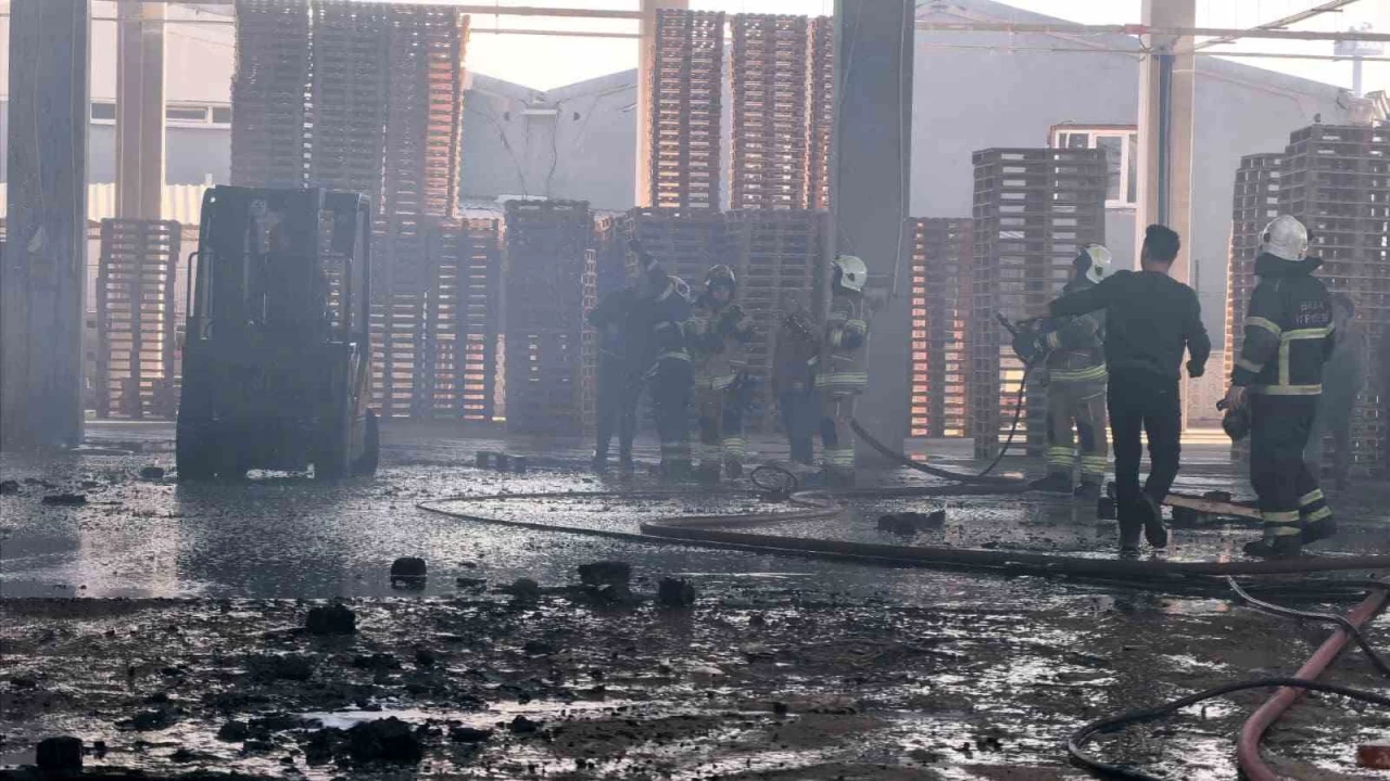 Bursa'da palet fabrikas alevlere teslim oldu