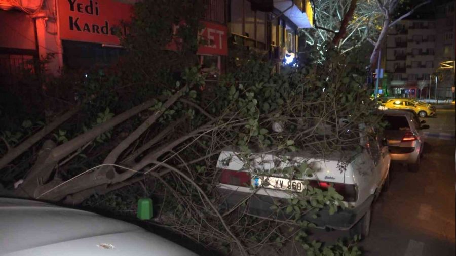 Bursa'da �iddetli lodosun etkisiyle a�a� k�r�ld�