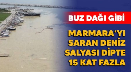 Buz da gibi, Marmara'y saran deniz salyas dipte 15 kat fazla