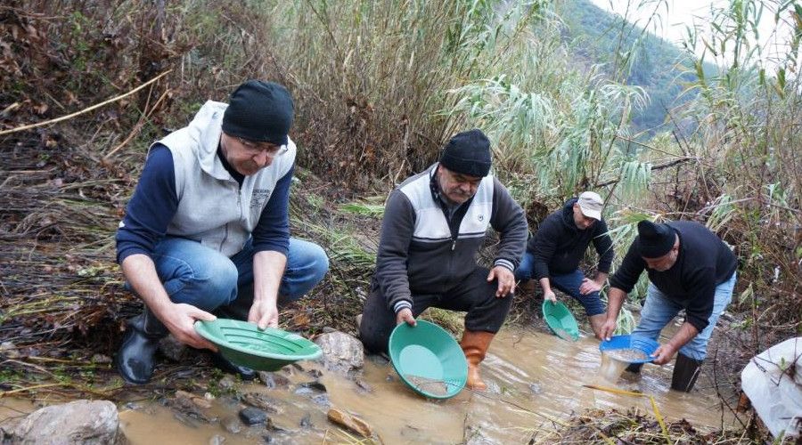 Buz gibi suda alt�n av�