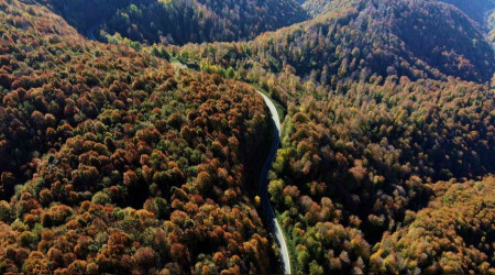 Çam Dağı'nda muhteşem sonbahar manzarası