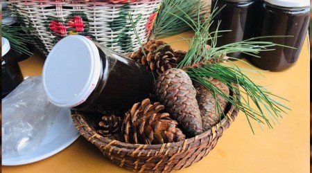 Çam kozalaklarıyla KOAH hastasını iyileştirdi