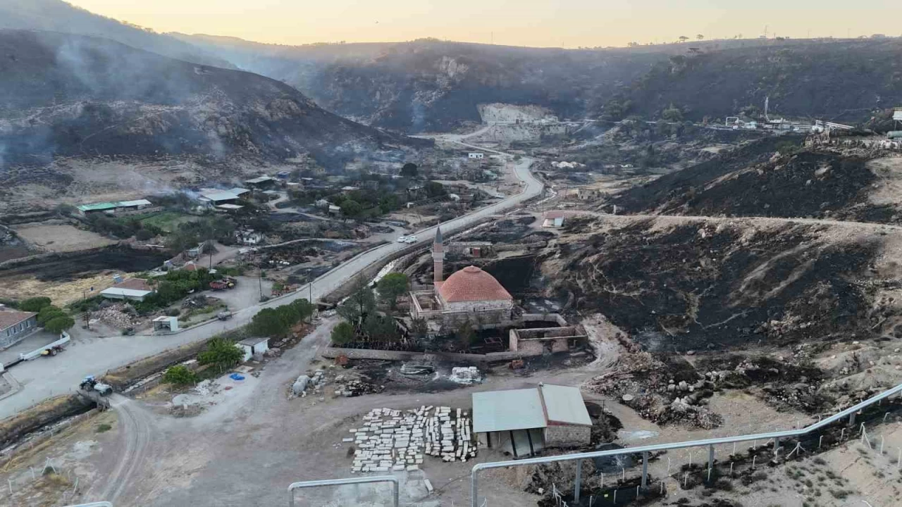 �anakkale'de yanan orman alanlar�nda avlanmak yasakland�