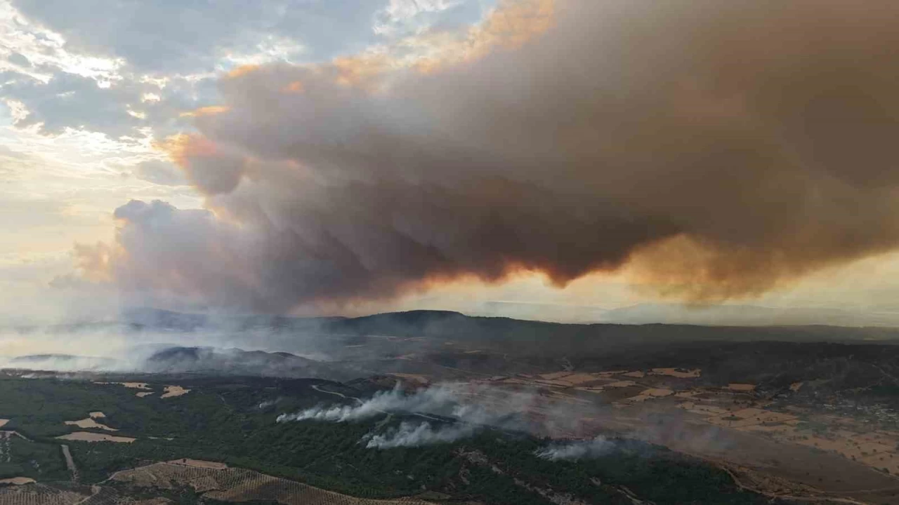 �anakkale'de yang�n nedeniyle Tarihi Alan'�n kuzey hatt� kapat�ld�