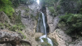 atak Takm elaleleri: Doann byleyici dans  