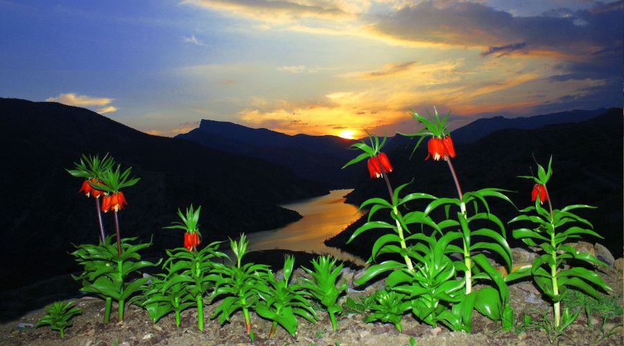 Cezas� el yak�yor, g�r�nt�s� kartpostal� and�r�yor