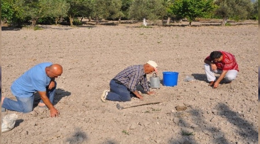 çiftçi mazot ve gübre fiyatlarından şikayetçi