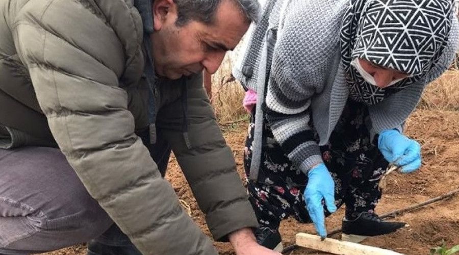 Çiftçilere mazot ve gübre desteği ödemeleri başladı