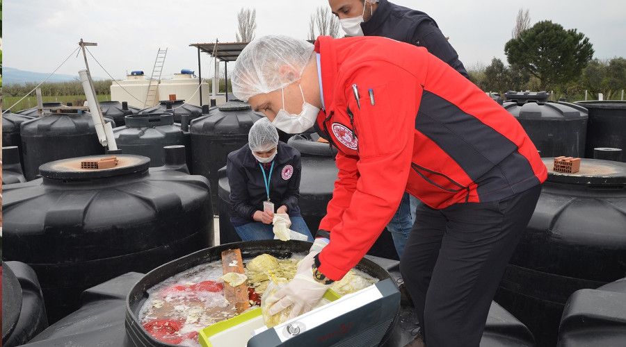 Çıplak ayakla turşu kazanına girdi işletme mühürlendi