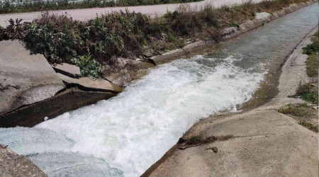 Çocuklardan biri mezara ikisi cezaevine girdi