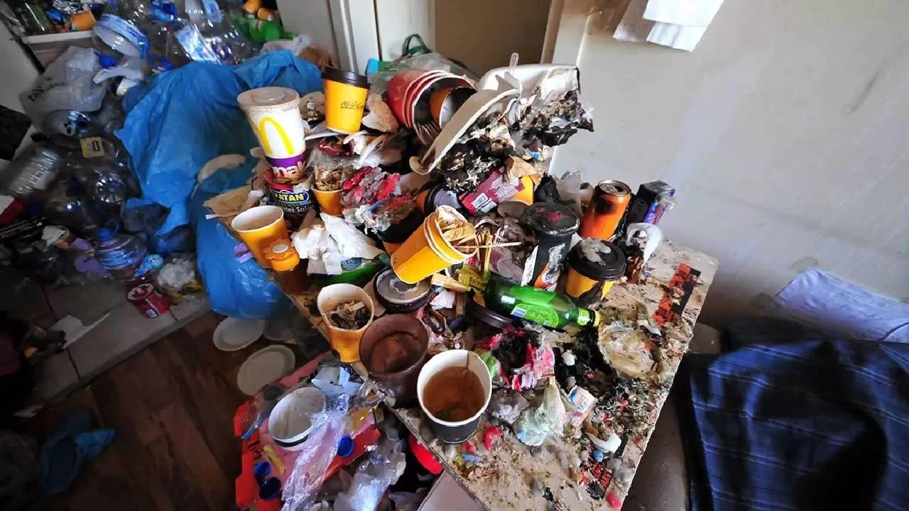 Çöp biriktirme sendromu