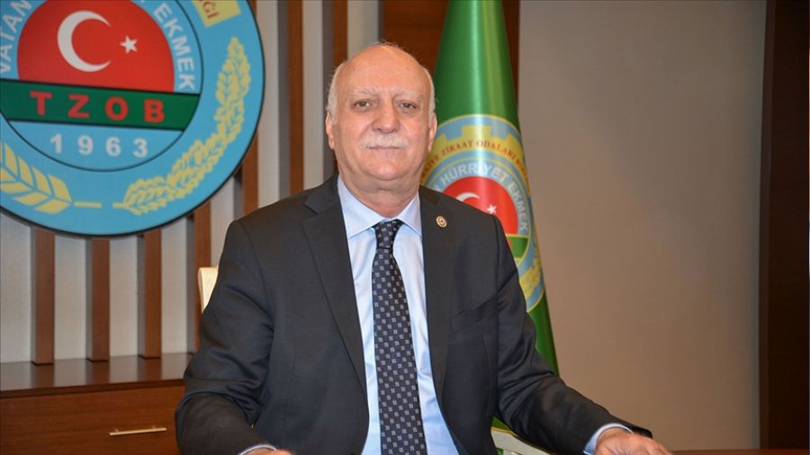 Dağ taş ekilsin isteniyorsa...