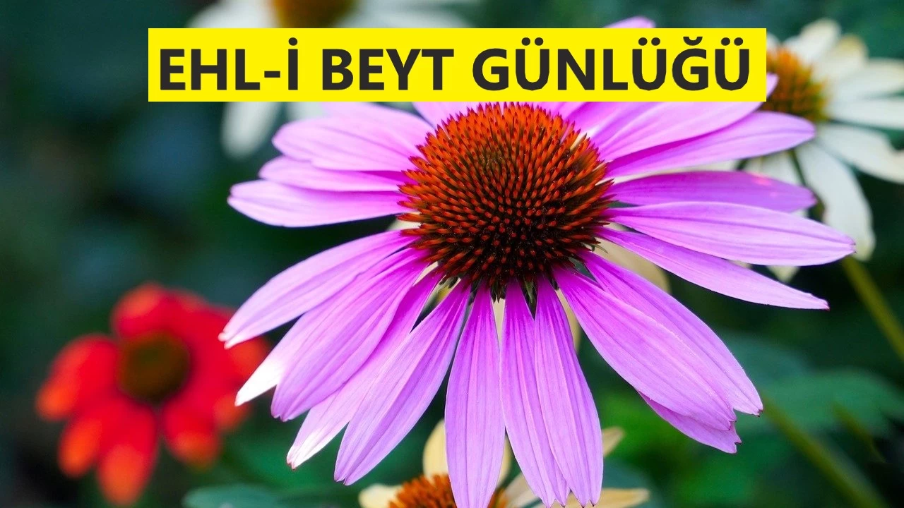 Daha �nce K�be�de kimse do�mam��t�