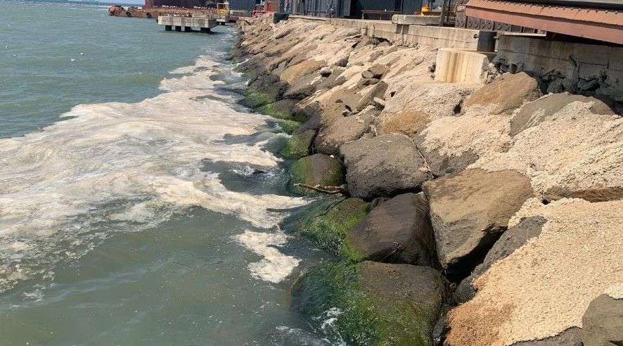 Denizdeki kirlili�in nedeni Alg Patlamas� 