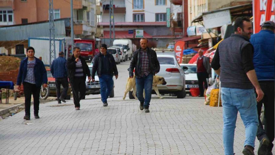 Depremin ardından vatandaşlar bu ilçeye akın etti
