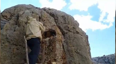 Doğal bal için günlerce iz sürüyorlar