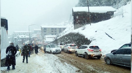 Doğu Karadeniz kara teslim