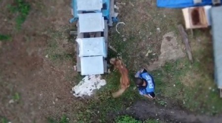 Drone ile takip edildi arı kovanını içinde uyuşturucu ve silah bulundu