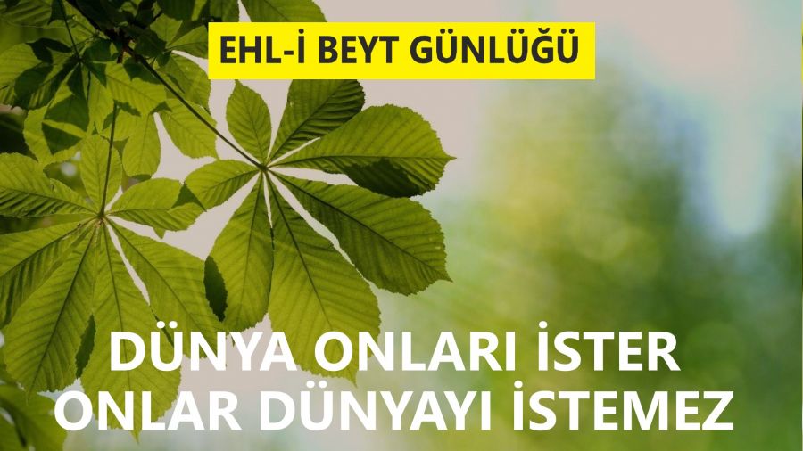 Dünya onları ister, onlar dünyayı istemez