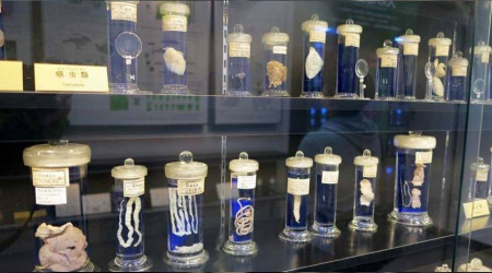 Dünyanın en garip müzeleri!