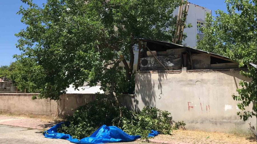 Dut silkelerken a�a�tan d��en adam hayat�n� kaybetti